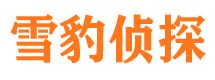 南阳侦探公司